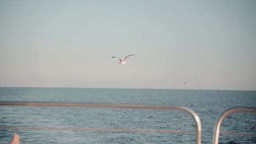 有关地平线, 天空, 海的免费素材视频