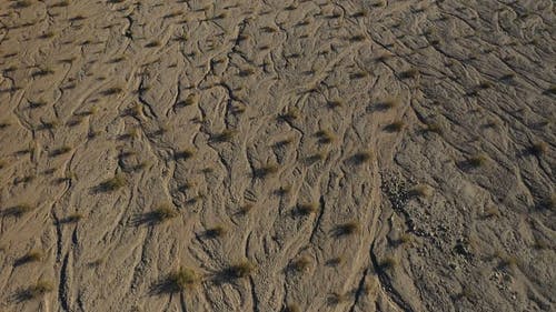 有关乾旱, 乾的, 加州的免费素材视频