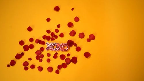 有关xoxo, 情人节礼物, 爱的礼物的免费素材视频