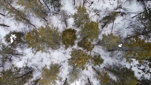 有关下雪的, 冬季, 冷的免费素材视频