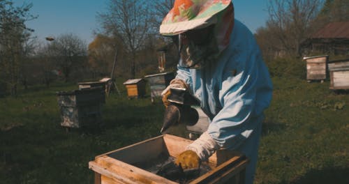 有关不锈钢, 养蜂人, 养蜂场的免费素材视频