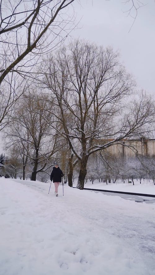 有关冬季, 垂直视频, 大雪覆盖的免费素材视频