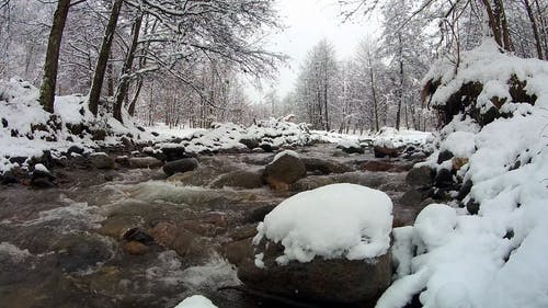 有关下雪的, 冬季, 冬季景观的免费素材视频