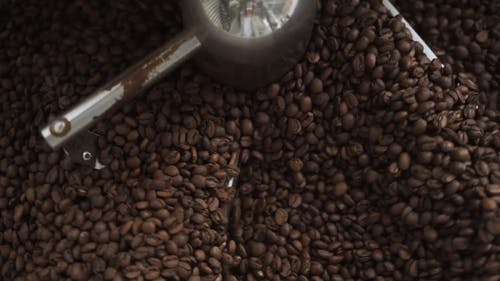 有关可口的, 咖啡, 咖啡豆的免费素材视频