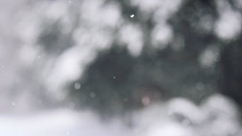 有关下雪, 下雪的, 冬季的免费素材视频