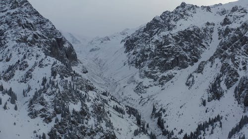 有关下雪的, 冬季, 天性的免费素材视频