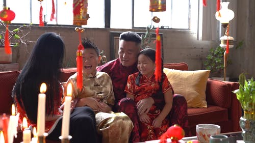 有关中国十二生肖, 中国新年, 中国的免费素材视频