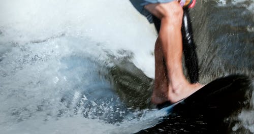 有关wakesurfing, 享受, 人的免费素材视频