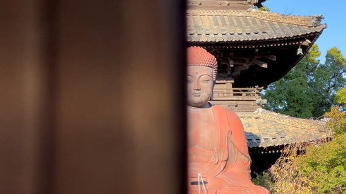有关亚洲,佛,佛教的免费素材视频